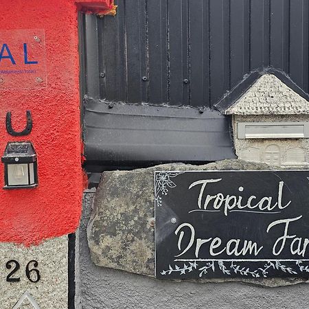 Hotel Tropical Dream Farm Vouzela Zewnętrze zdjęcie