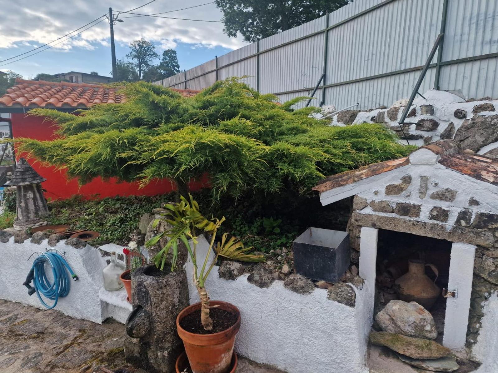Hotel Tropical Dream Farm Vouzela Zewnętrze zdjęcie