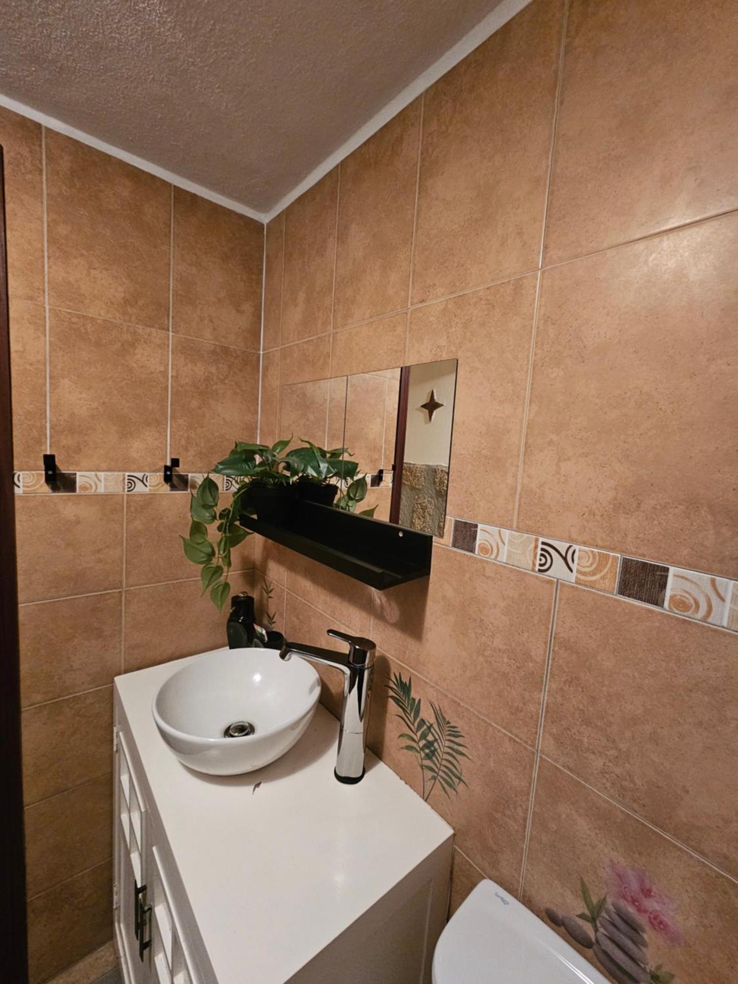 Hotel Tropical Dream Farm Vouzela Zewnętrze zdjęcie