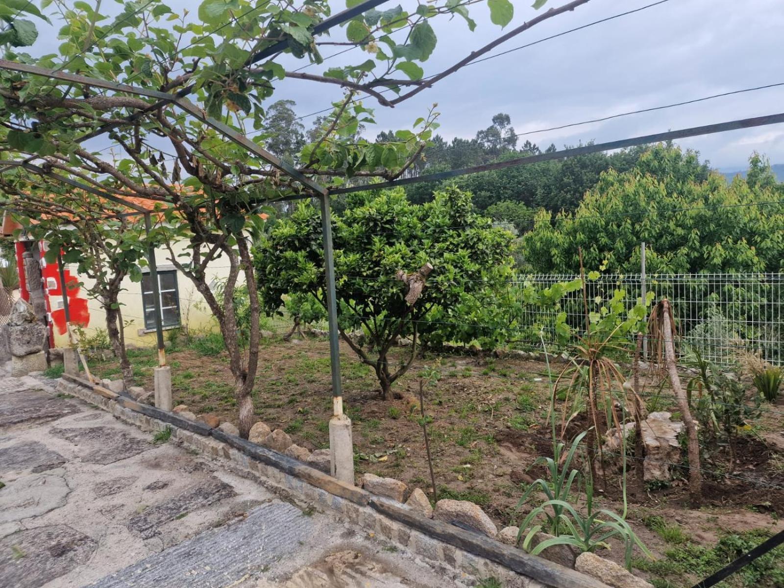 Hotel Tropical Dream Farm Vouzela Zewnętrze zdjęcie