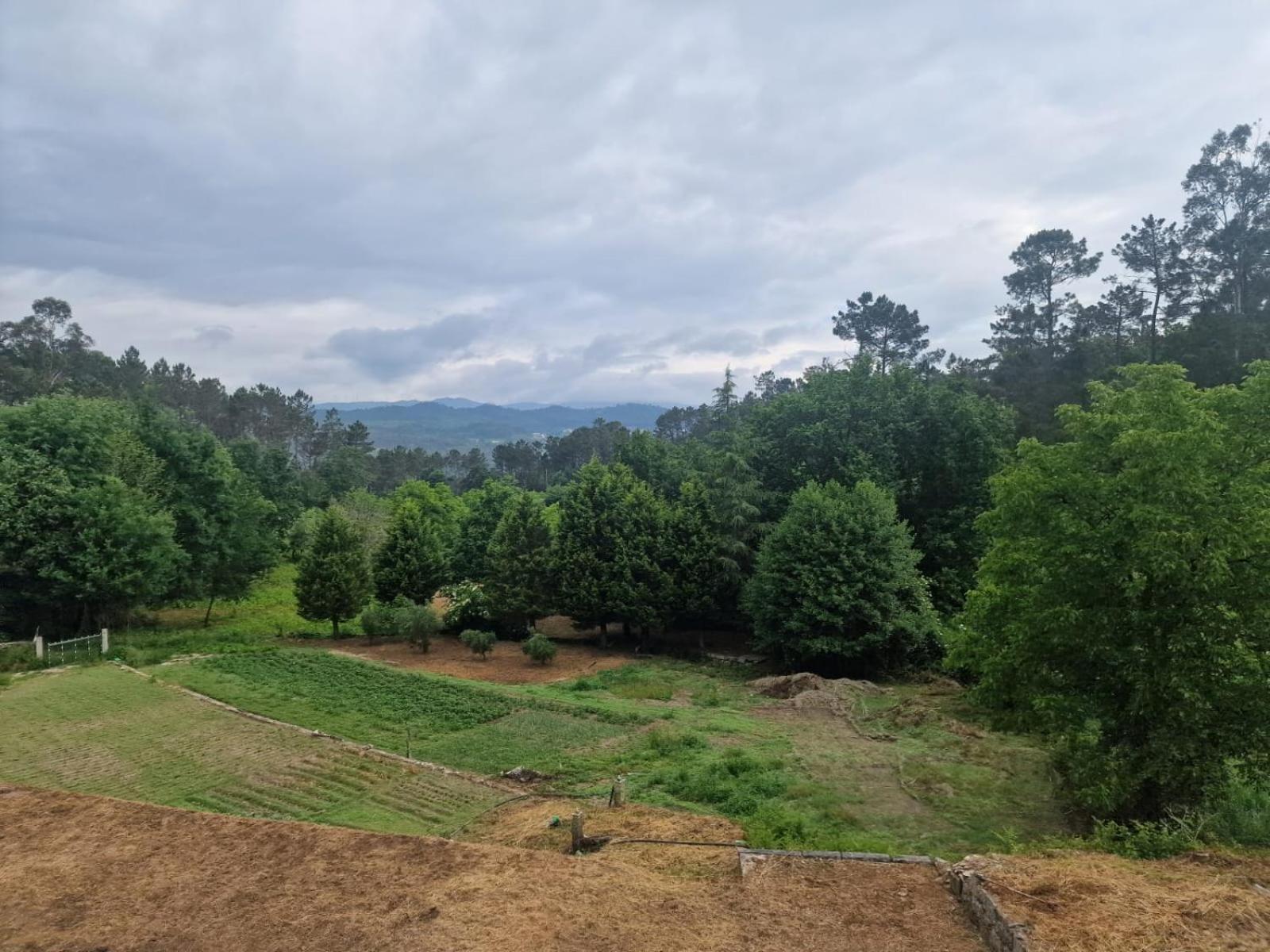 Hotel Tropical Dream Farm Vouzela Zewnętrze zdjęcie