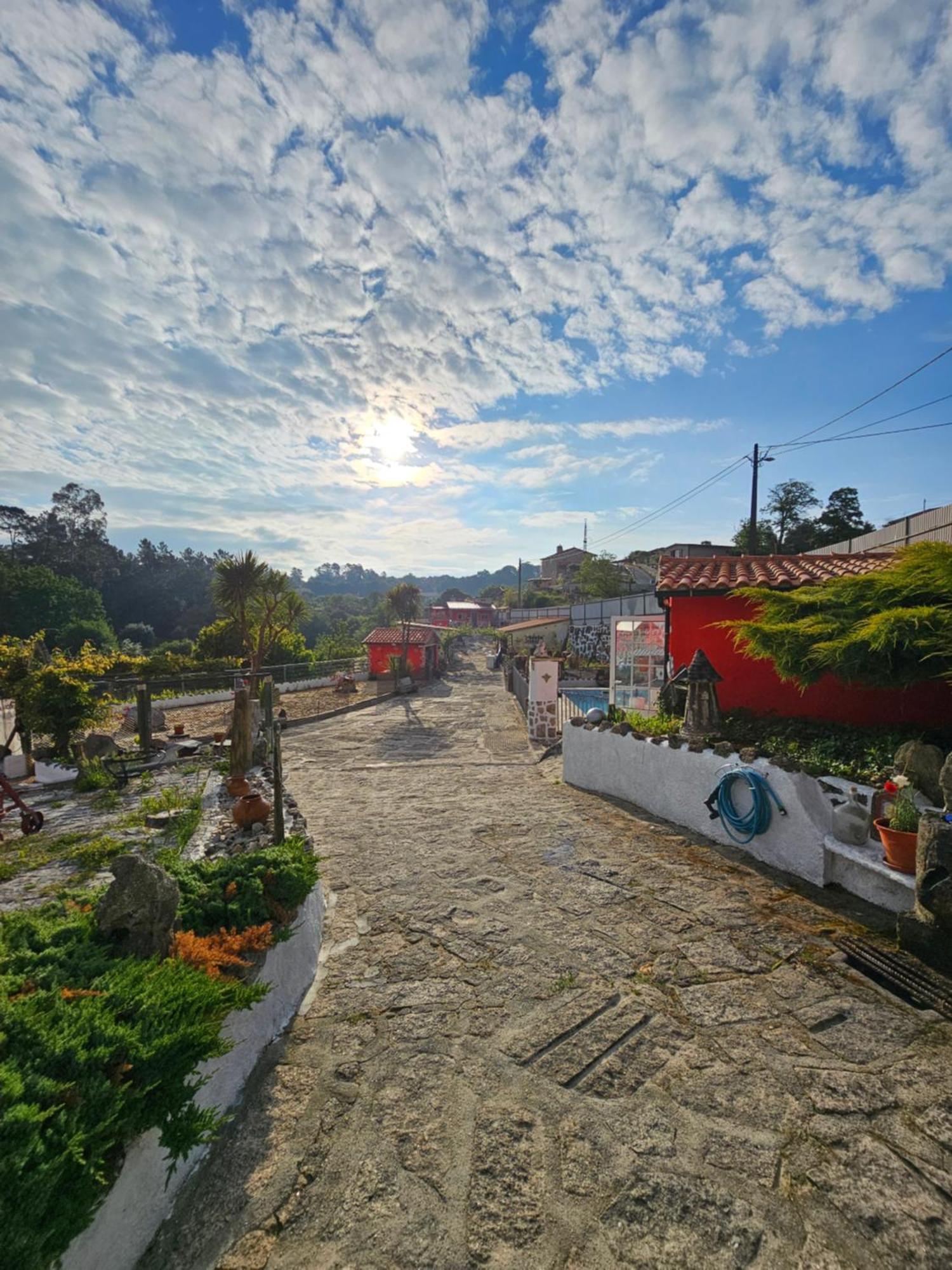 Hotel Tropical Dream Farm Vouzela Zewnętrze zdjęcie