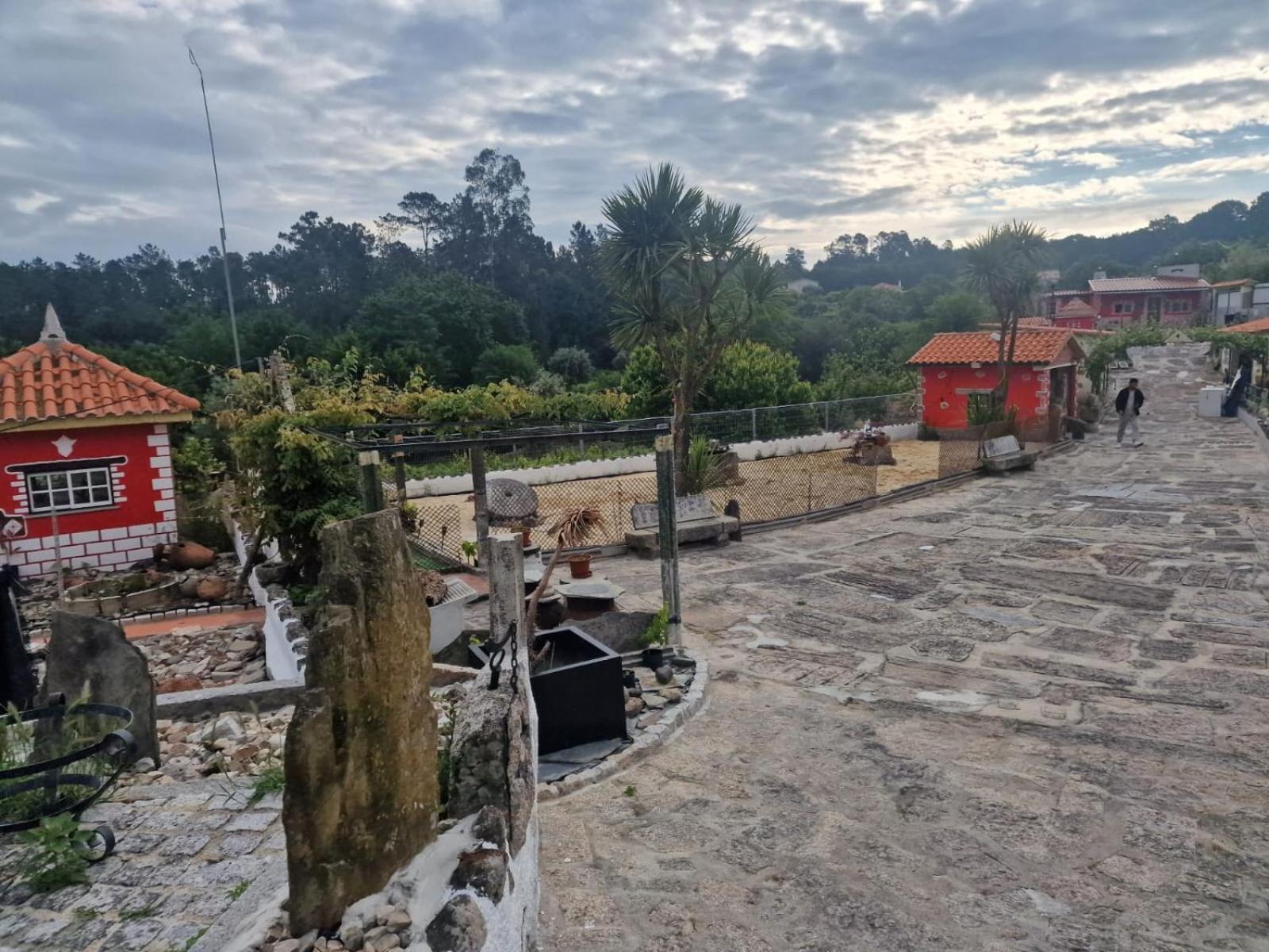 Hotel Tropical Dream Farm Vouzela Zewnętrze zdjęcie